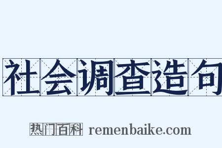 社会调查造句是什么意思的图片